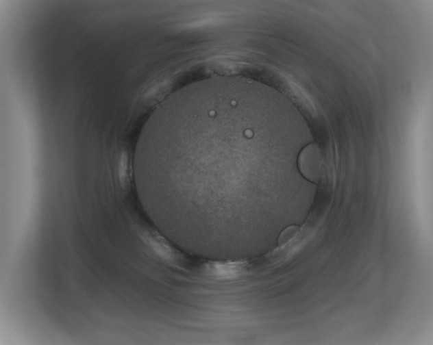 X0000112800134200908211141