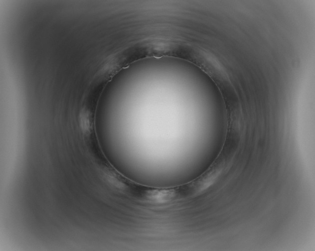 X0000112800135200908211141