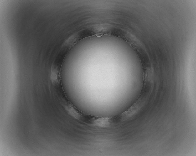X0000112800138200908211141