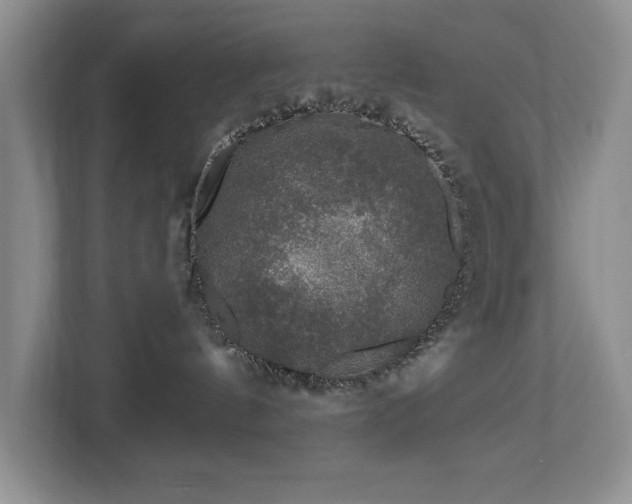 X0000112800144200908211141