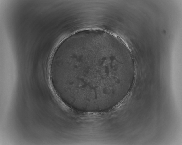 X0000112800145200908211140