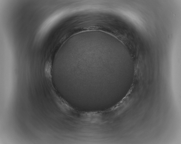 X0000112800146200908211140