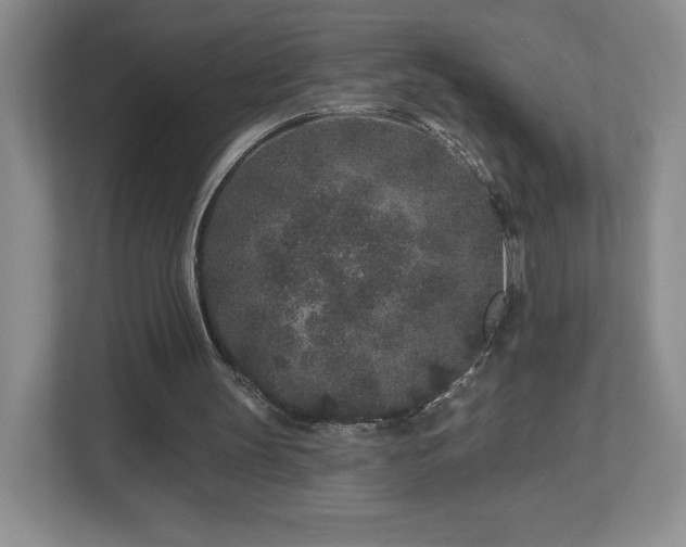 X0000112800147200908211140