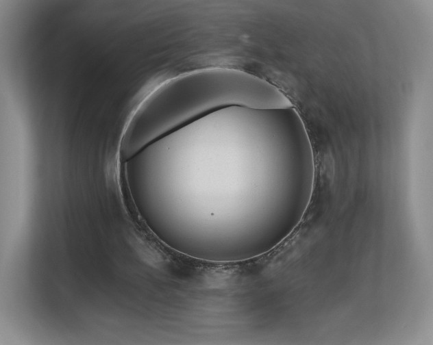 X0000112800148200908211140