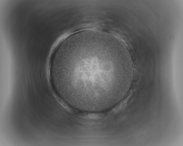 X0000112800149200908211140