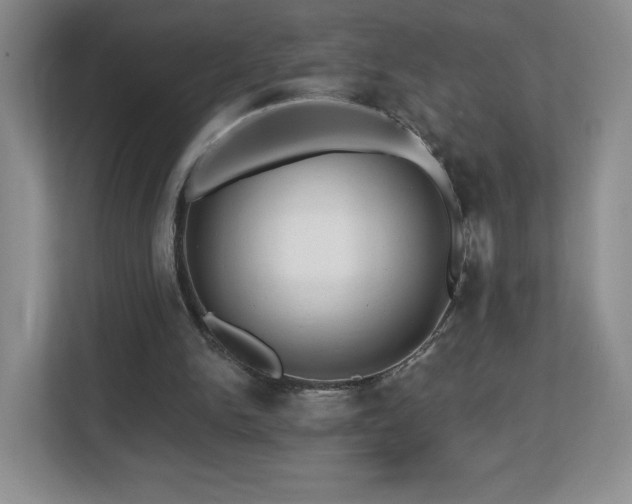 X0000112800150200908211140