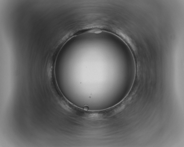 X0000112800153200908211140