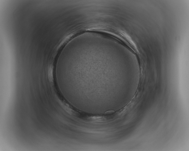 X0000112800154200908211140