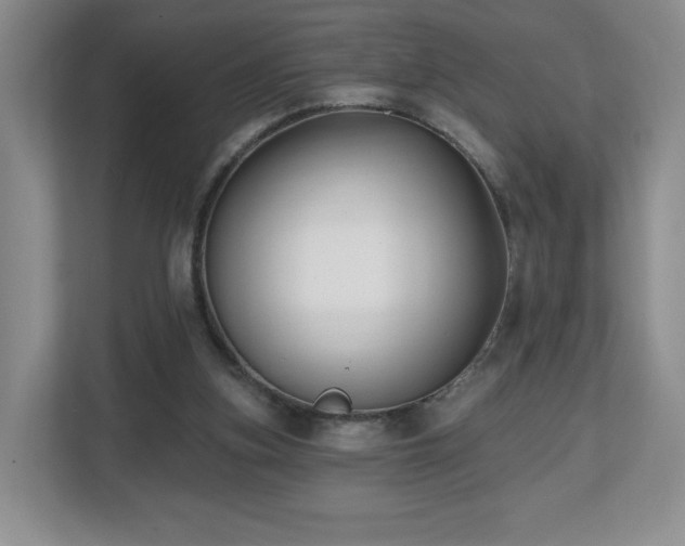 X0000112800155200908211140