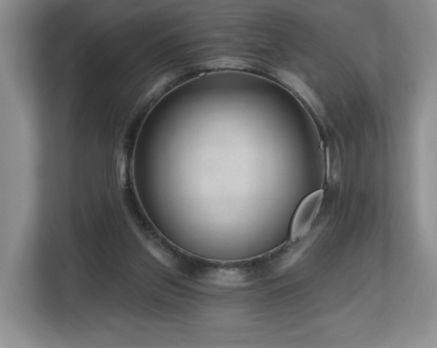 X0000112800157200908211140