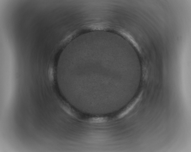 X0000112800161200908211141