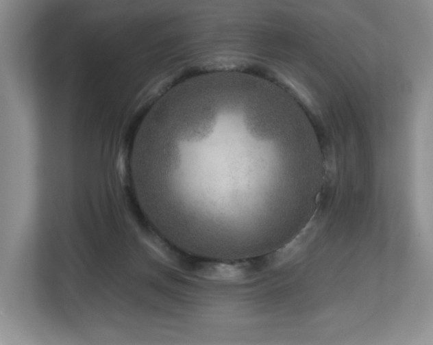 X0000112800166200908211141