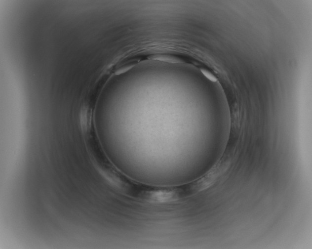 X0000112800168200908211141