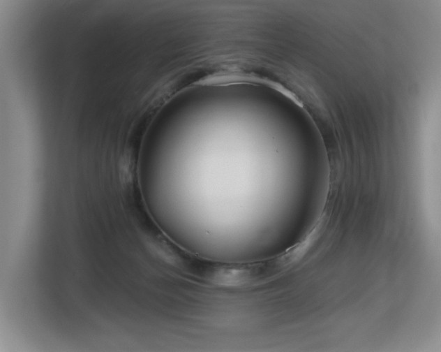 X0000112800174200908211141
