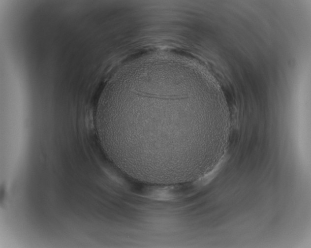 X0000112800182200908211141
