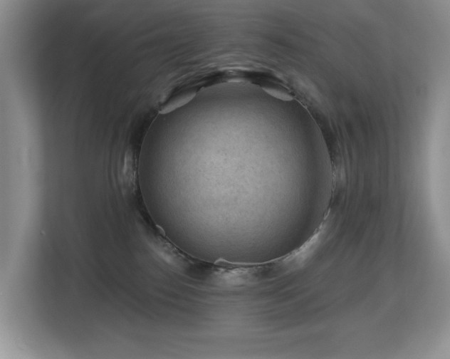 X0000112800186200908211141