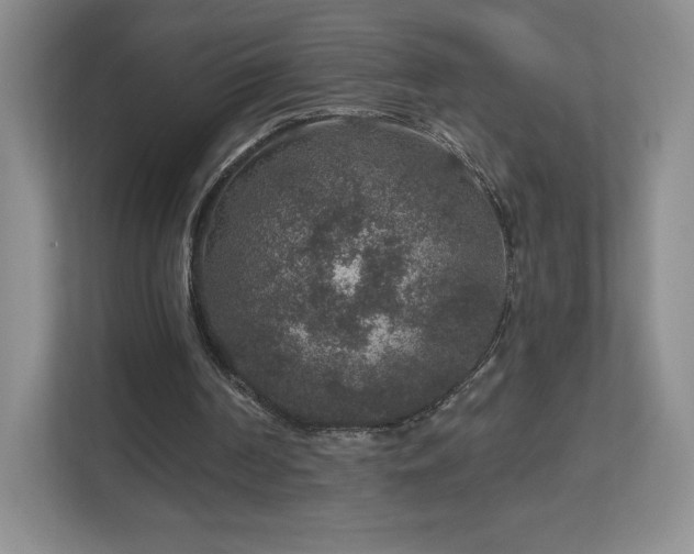 X0000112800194200908211140