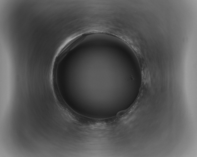 X0000112800196200908211140