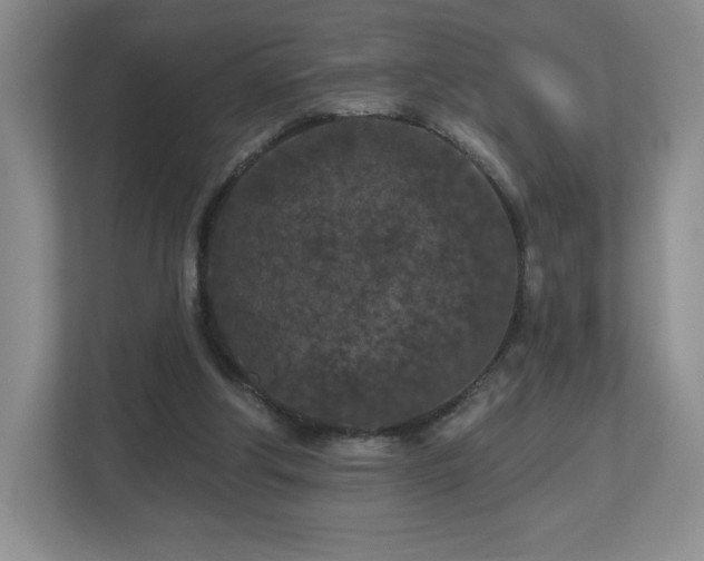 X0000112800202200908211140