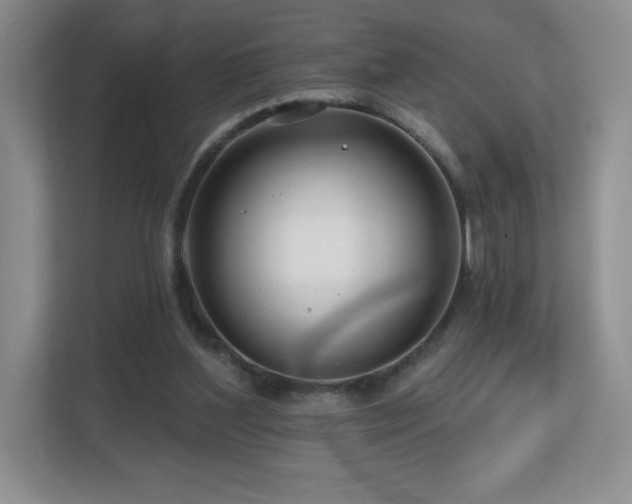 X0000112800204200908211140