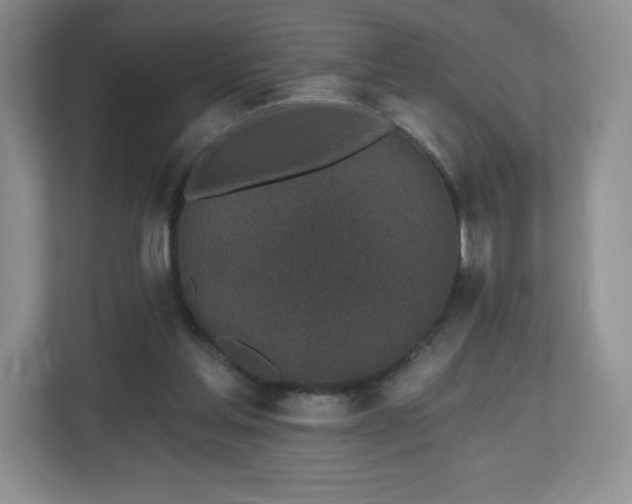 X0000112800205200908211140