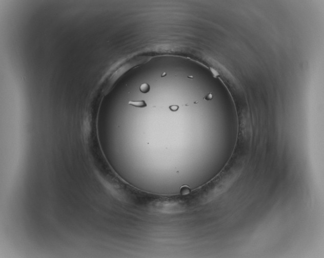 X0000112800208200908211140