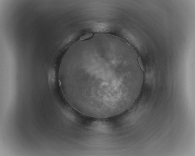 X0000112800211200908211140