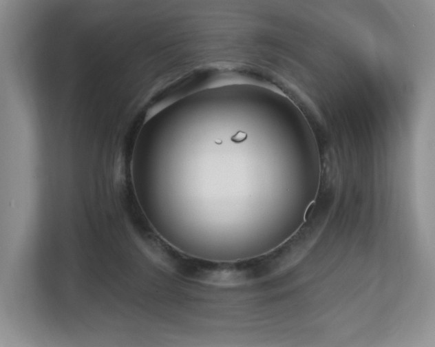 X0000112800212200908211140