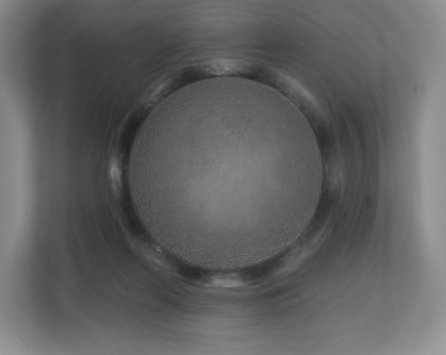 X0000112800214200908211140