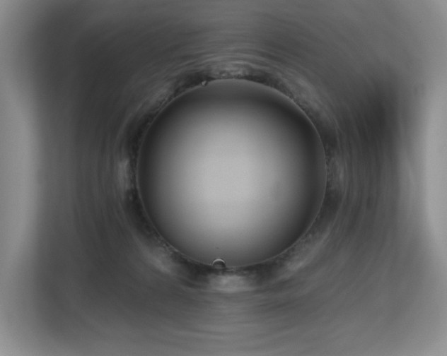 X0000112800224200908211140