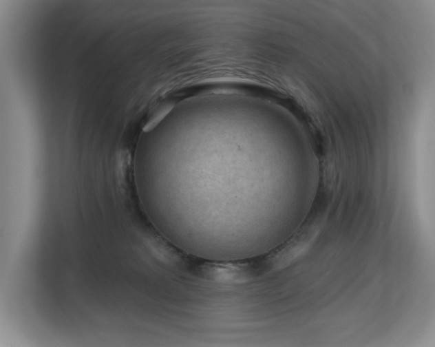 X0000112800229200908211140