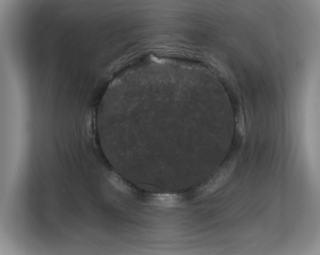 X0000112800233200908211140