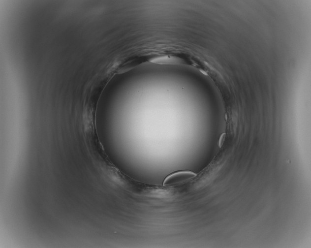 X0000112800236200908211140