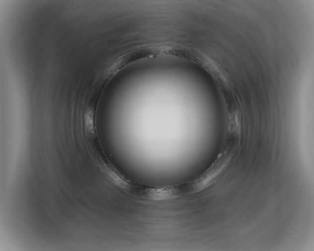 X0000112800238200908211140