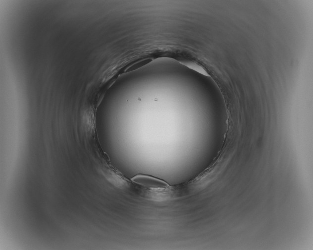 X0000112800240200908211140