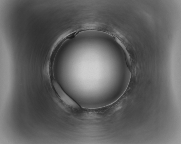 X0000112800244200908211139