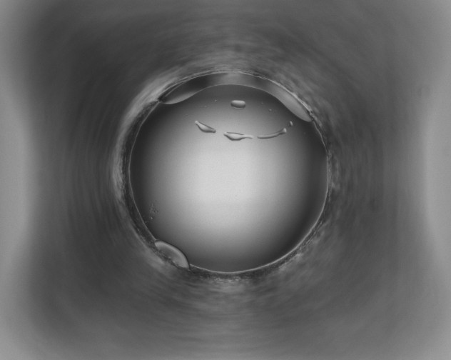 X0000112800245200908211139