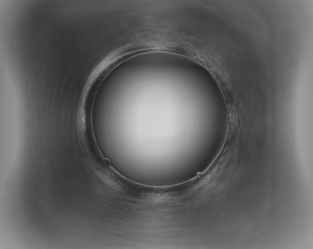 X0000112800246200908211139