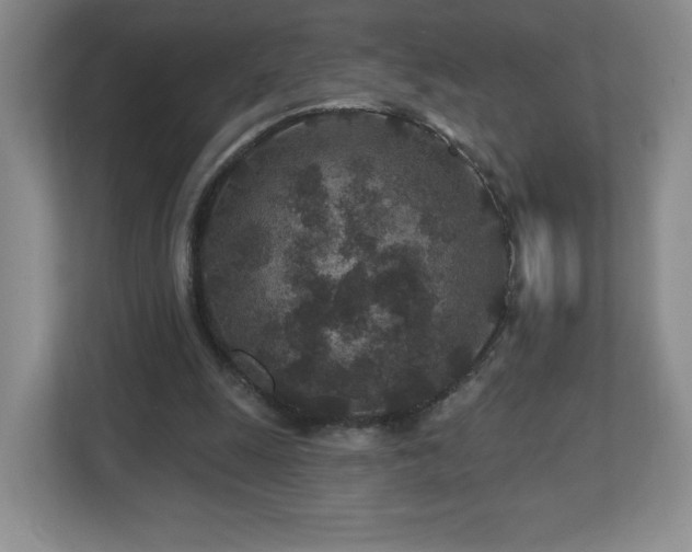 X0000112800247200908211139