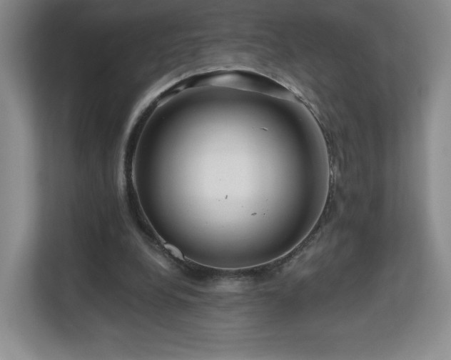 X0000112800248200908211139