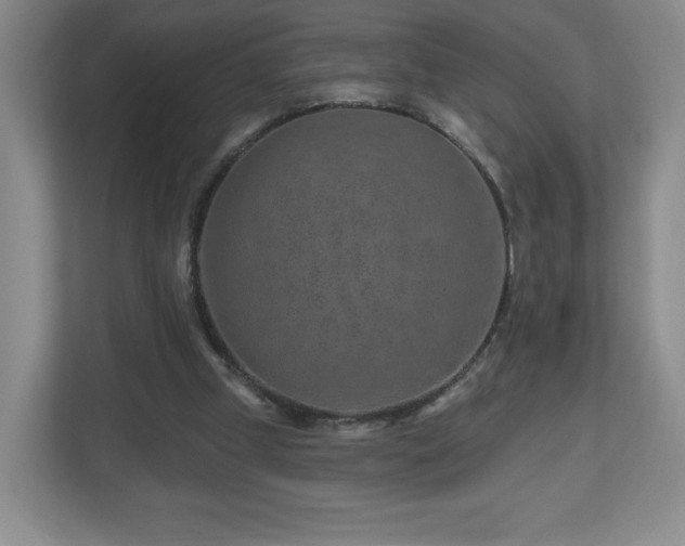 X0000112800249200908211139