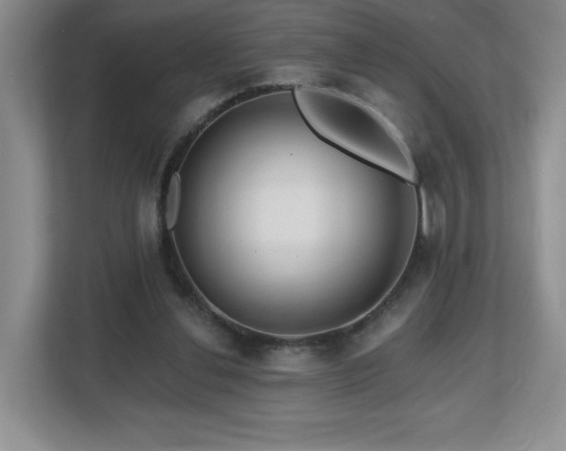 X0000112800252200908211139