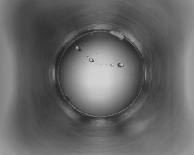 X0000112800253200908211139