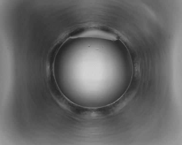 X0000112800254200908211139