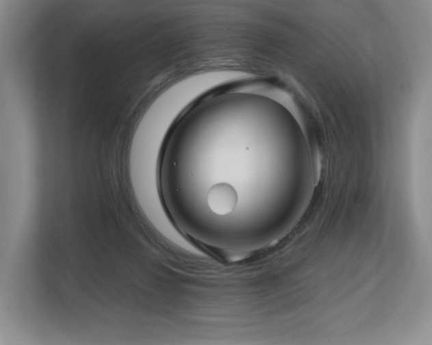 X0000112800260200908211139