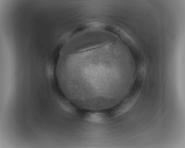 X0000112800268200908211139