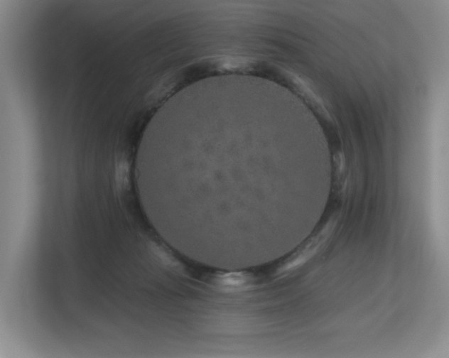 X0000112800269200908211139