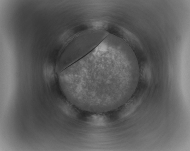 X0000112800272200908211139