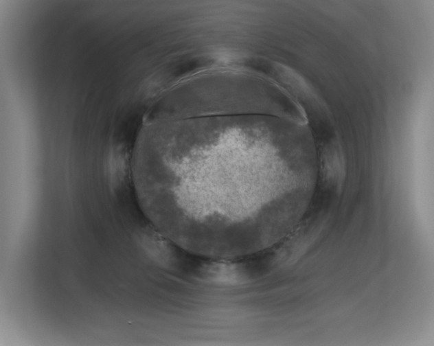 X0000112800276200908211140