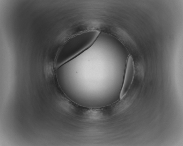 X0000112800280200908211140
